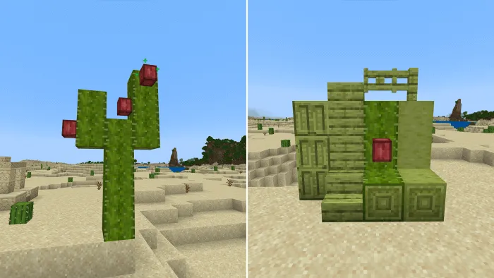 Saguaro Cactus