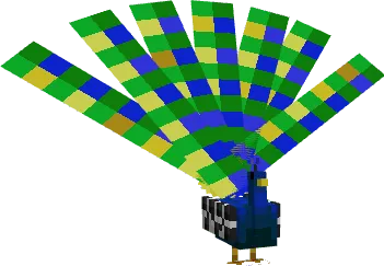 Peacock animal
