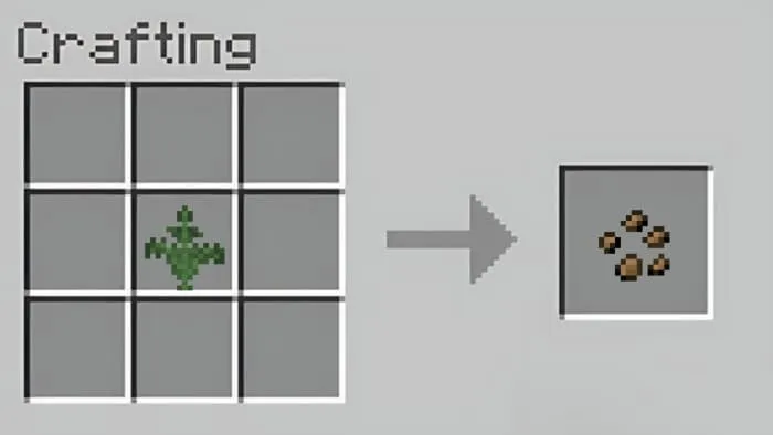 Cotton Seeds Crafting 1
