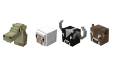 Animal Heads
