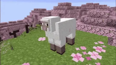 Tie the animals