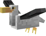 Seagull