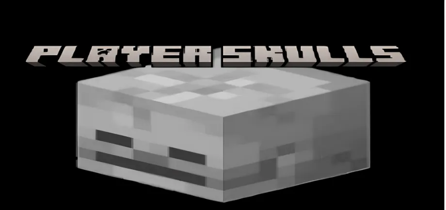 Thumbnail: Player Skulls (1.21.0+)