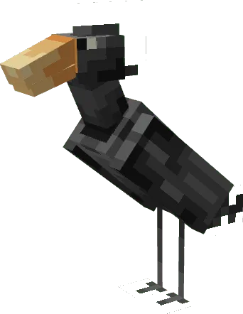 Shoebill
