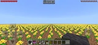 FlatFlower Challenge: Screenshot