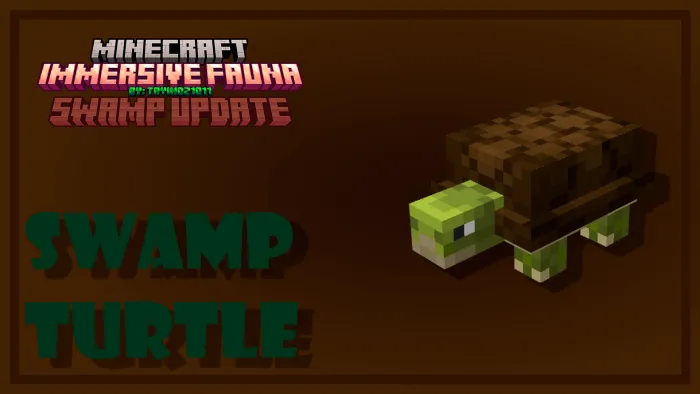 Swamp Turtle