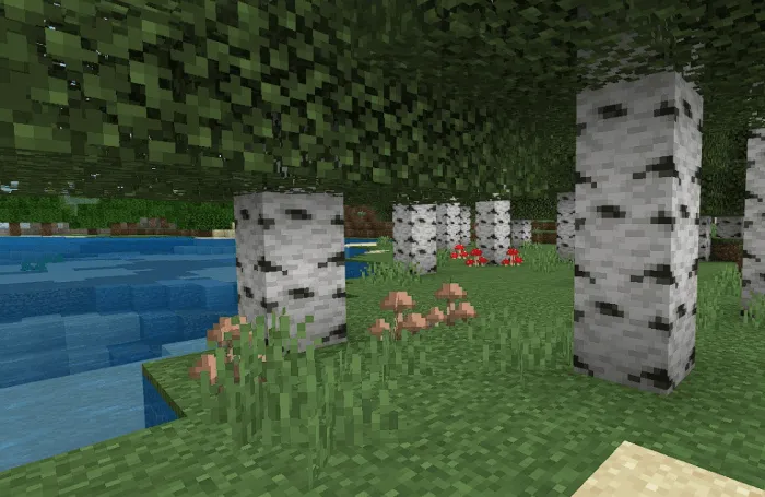 Mushrooms: Screenshot