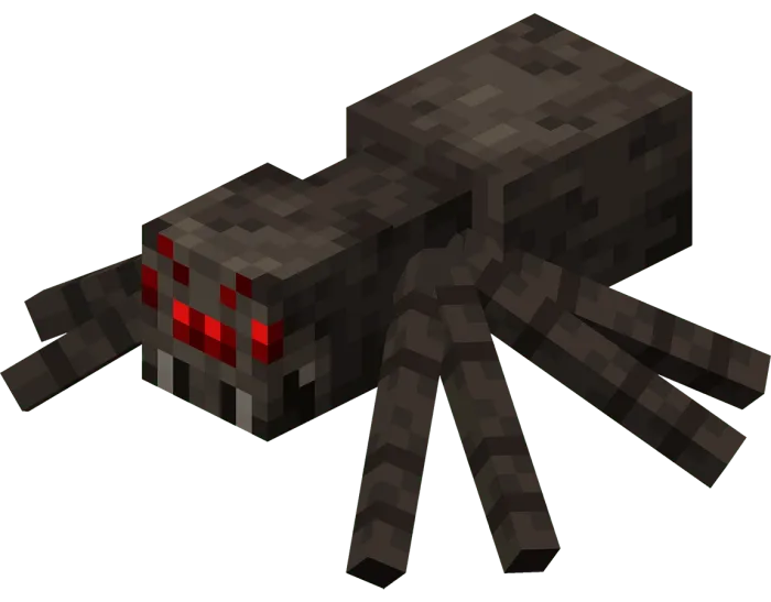 Spider