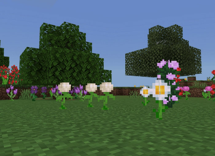 Flowers: Screenshot