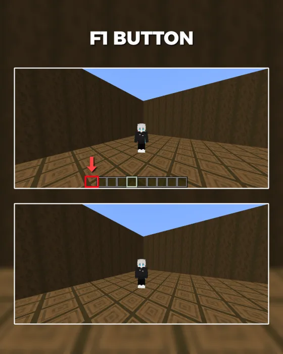 F1 Button: Screenshot