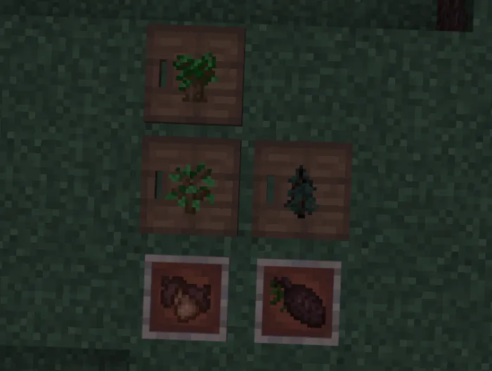 Pinecone and Acorn: Screenshot