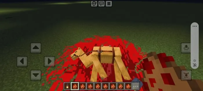Dead Animal