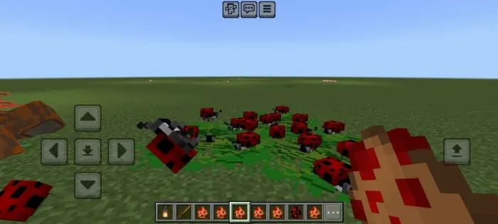 Insects 1