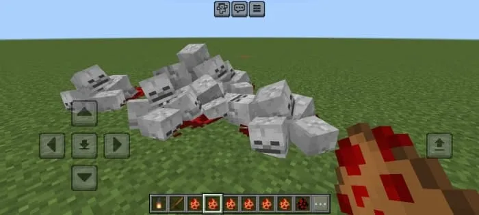 Skeleton Heads
