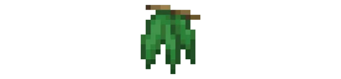 Eucalyptus Leaf