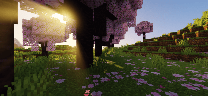 Cherry Blossom Panorama: Screenshot 2