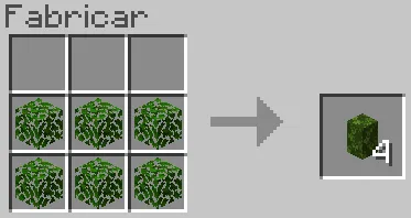 Hedges Recipe
