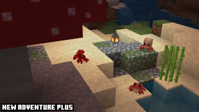 Crabs: Screenshot