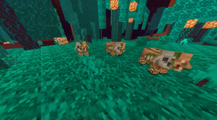 Zombie Piggies