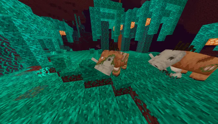 Zombie Piglin Beasts in Warped Forest