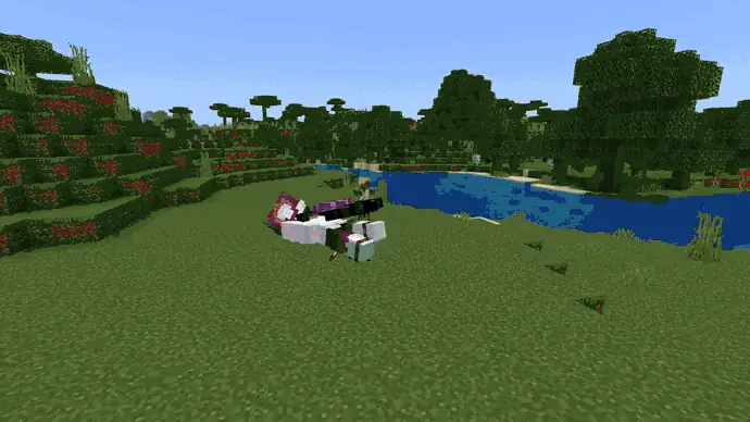 Ender Elytra: Demonstration