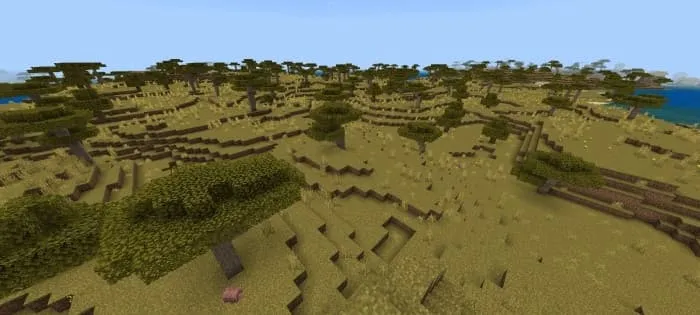 Savanna Reimagined - Acacia Coloring: Screenshot 2