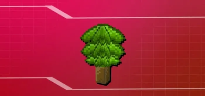Berry Plant