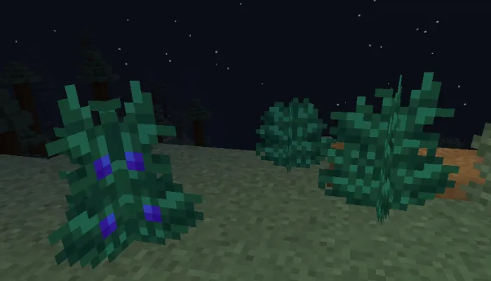 Blueberries: Screenshot