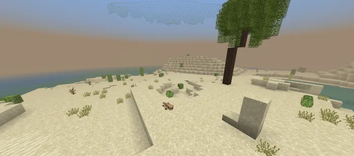 Desert: Screenshot 1
