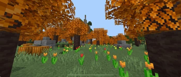 Maple Forest: Screenshot