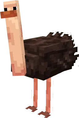 Ostrich