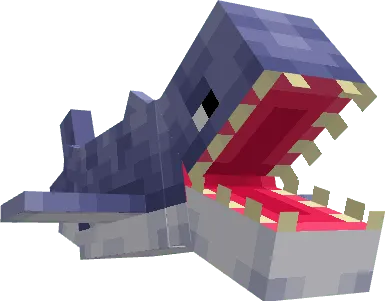 Shark