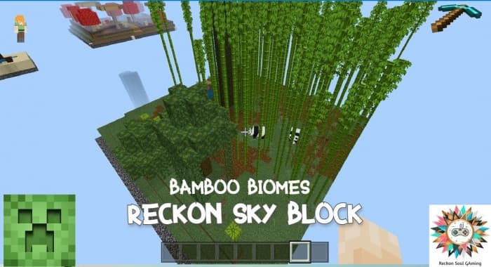 Reckon Sky Block V5 screenshot №12