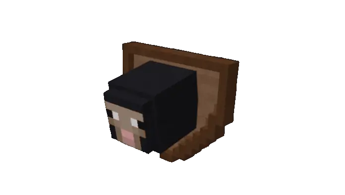 Colored Sheep Heads