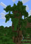DecIsland: Screenshot 6