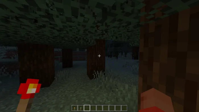 Redstone Torch: Screenshot