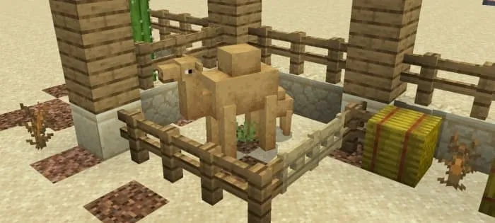Camels: Screenshot