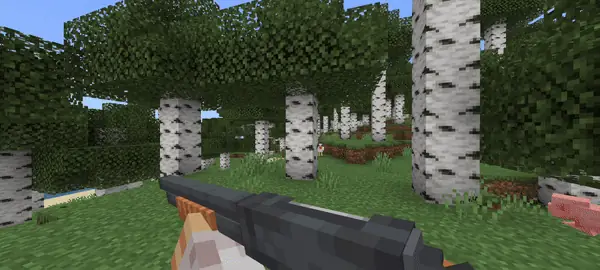 Pump-Action Shotgun: Animation