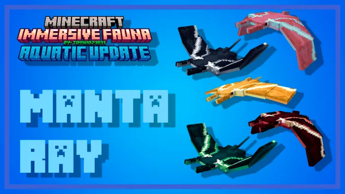 Manta Rays