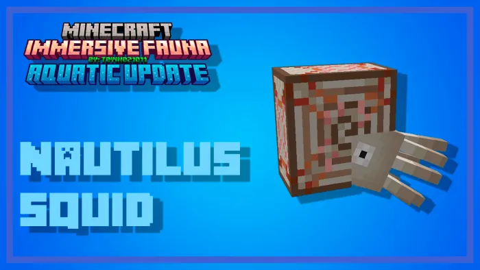 Nautilus Squid