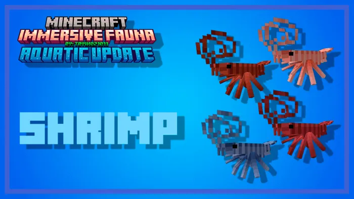 Shrimps