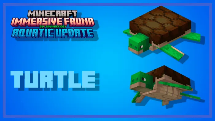 Turtles