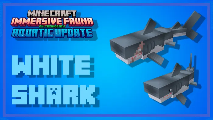 White Sharks