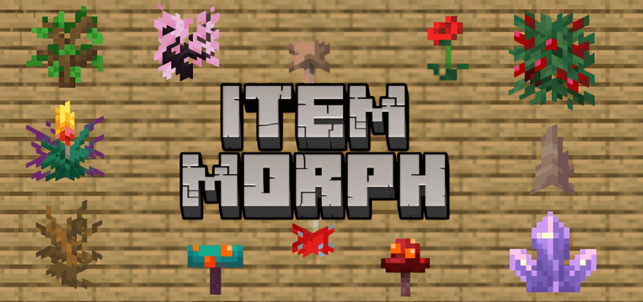 Thumbnail: Item Morph Addon (Winter Drop Update)