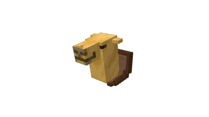 Minecraft's Camel Head