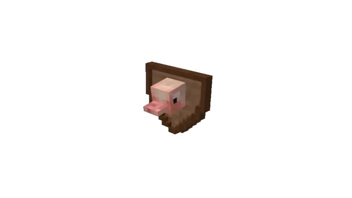 Ostrich Head