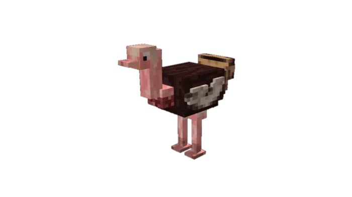 Ostrich