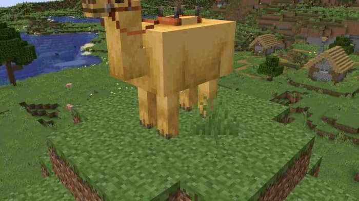 Fat Minecraft Camel