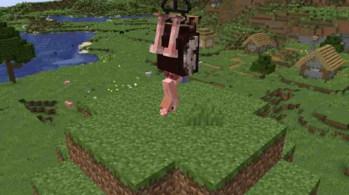 Hanged Ostrich