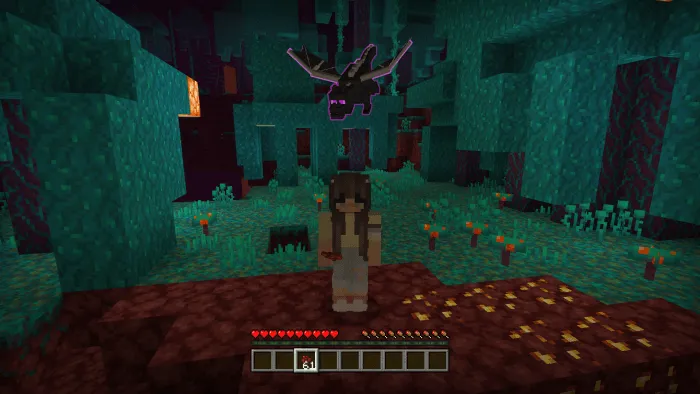 Baby Ender Dragon: Screenshot 1